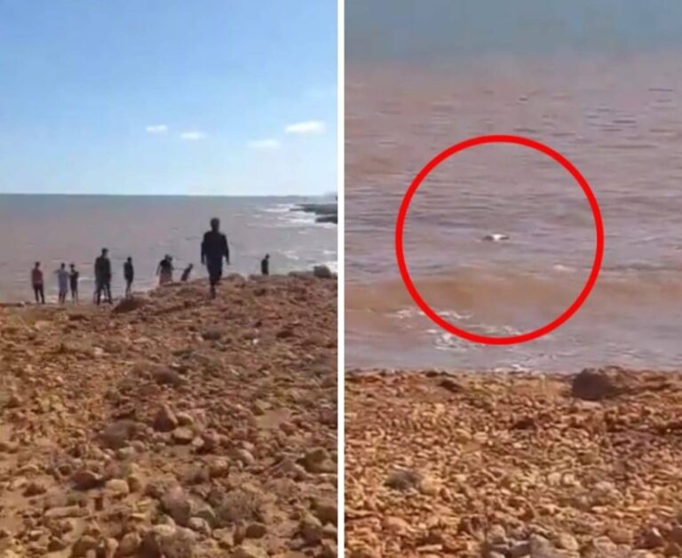 بعدما جرفتهم السيول في درنة جراء الإعصار المدمر.. شاهد جثث الليبيين تطفو على سطح البحر