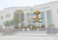 تعرف على ضوابط تسجيل الأسماء بالأحوال المدنية