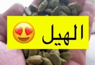 فيديو.. خبير تغذية يكشف عن فوائد صحية مذهلة لتناول الهيل
