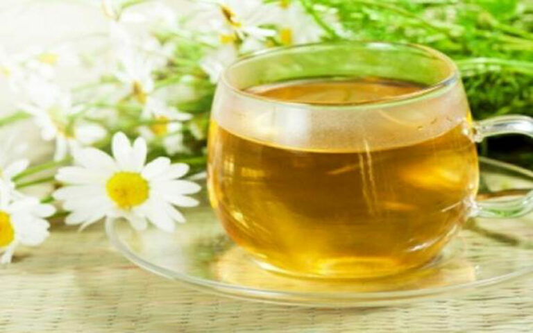 اليانسون صيدلية طبيعية للأوجاع.. الدكتور القحطاني يوضح