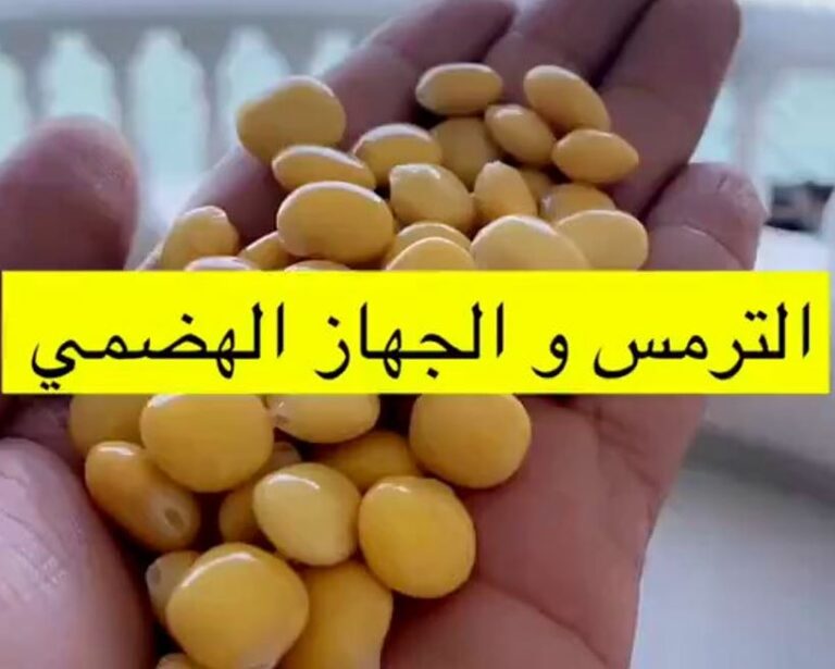 فيديو.. علي الحداد يكشف عن فوائد صحية لتناول الترمس بالقشر