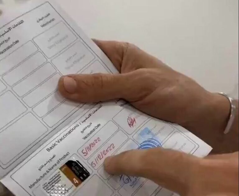 فيديو.. طبيب يحذر من انتشار طاعون القطط ويدعو إلى تطعيمات وقائية فورية
