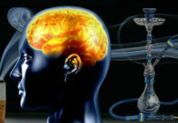 النمر يوضح تأثير التدخين على الدماغ