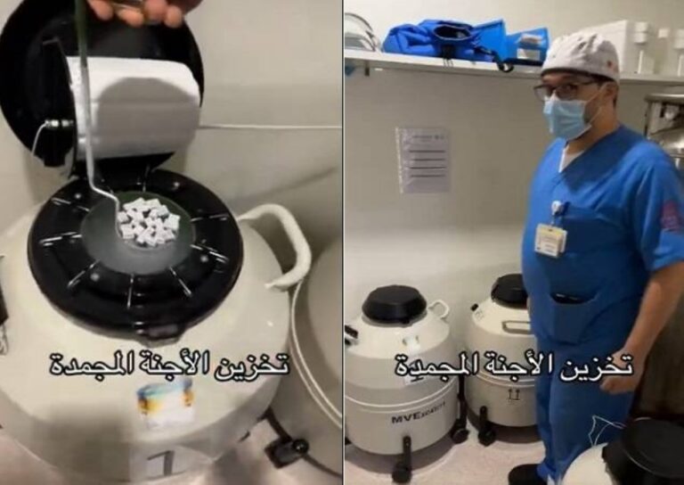 شاهد طبيب يستعرض طريقة تخزين الأجنة المجمدة