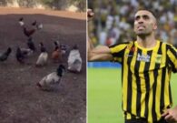 شاهد عبدالرزاق حمدالله يستمتع بوقته داخل مزرعته الخاصة بالمغرب