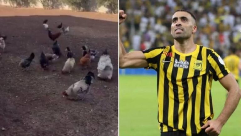 شاهد عبدالرزاق حمدالله يستمتع بوقته داخل مزرعته الخاصة بالمغرب