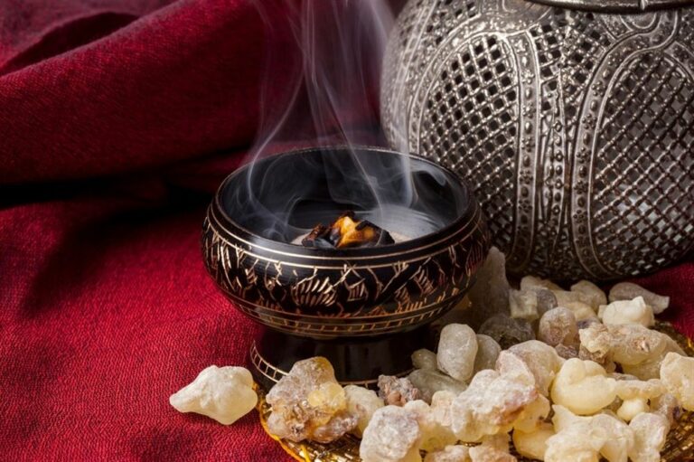 هل بخور اللبان والمستكا يقتل الجراثيم والفيروسات ويطرد الأرواح الشريرة من المنزل؟.. النمر يجيب ويحسم الجدل