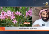 سعيد السهيمي يكشف عن فوائد وتحذيرات شجرة الخروع: زيت طبي مفيد وسُم قاتل -فيديو