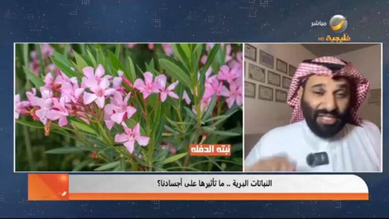سعيد السهيمي يكشف عن فوائد وتحذيرات شجرة الخروع: زيت طبي مفيد وسُم قاتل -فيديو