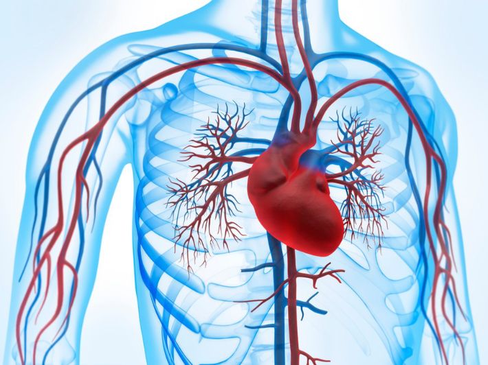 الخضيري يكشف مفاجأة عن طول الأنابيب داخل جسم الإنسان وما يحدث عند انسدادها