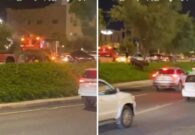 شاهد ثور هائج يجري بين السيارات على الطريق الدائري في المدينة المنورة.. وهكذا سيطرت عليه وزارة البيئة والبلدية
