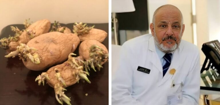 هل البطاطا المتبرعمة أو المخضرة تسبب التسمم؟.. الخضيري يجيب