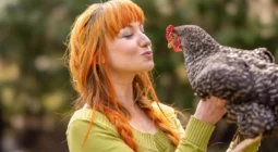 اكتشاف وجه شبه مذهل بين الدجاج والبشر