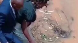 مقطع فيديو يلهم العالم: امرأة تحمل زوجها لتجاوز بركة مياه وتصنع لحظة رائعة