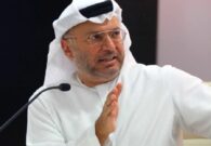 استغراب قرقاش من تصرفات دولة عربية شقيقة تجاه الإمارات: الصبر والحكمة هما سبيلنا