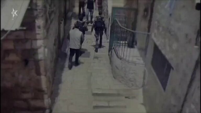 فيديو.. سائح تركي يطعن شرطيًا إسرائيليًا في القدس قبل أن تتصدى له قوات الأمن