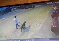 شاهد كلب يهاجم مسن أثناء تجوله وسط منطقة سكنية مع صاحبه في الكويت
