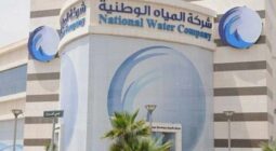 هيئة الرقابة ومكافحة الفساد تقبض على مقيمين يتلاعبان بفواتير المياه بمقابل مالي