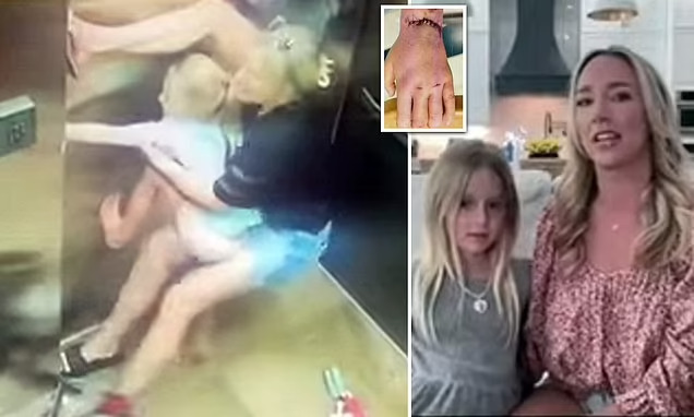 شاهد فيديو مرعب لطفلة تعلق يدها في المصعد.. ووالدتها تحاول تحريرها