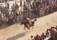حادثة مروعة في سباق الخيل بمصر: شاهد لحظة سقوط شاب من على ظهر حصان