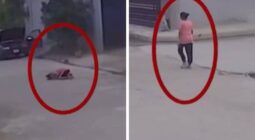 مأساة في كركوك.. شاهد لحظة مقتل طفلة عراقية برصاصة طائشة أثناء سيرها وسط الشارع