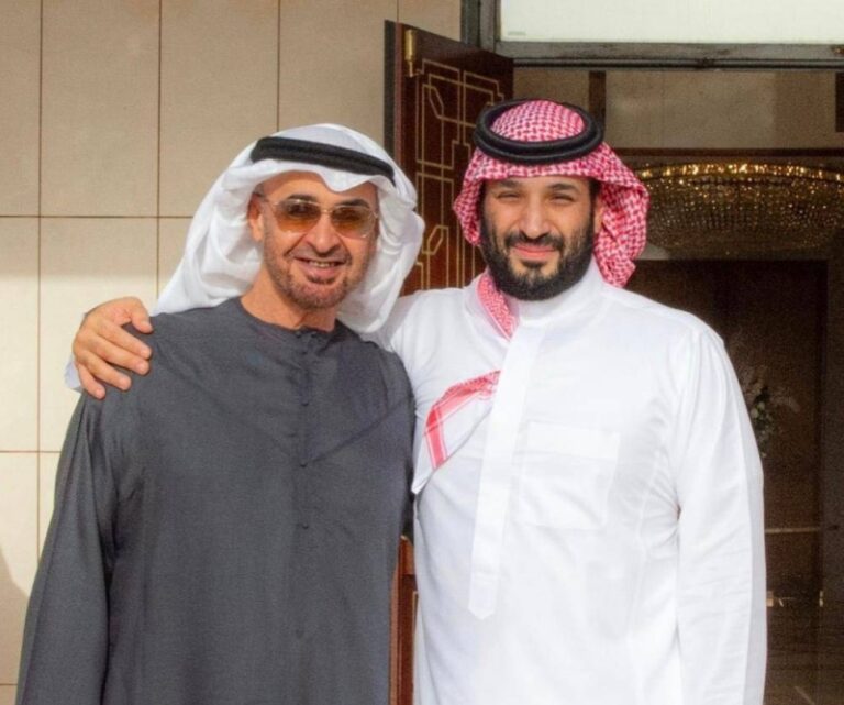 شاهد ولي العهد يلتقي بالشيخ محمد بن زايد في قصر العزيزية بالمنطقة الشرقية