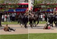 شاهد لحظة سقوط جندي بريطاني من على ظهر حصان خلال عرض عسكري في لندن