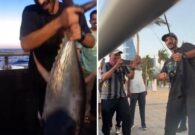 شاهد شاب سعودي يصطاد سمكة تونة كبيرة من كورنيش جدة ويثير الإعجاب