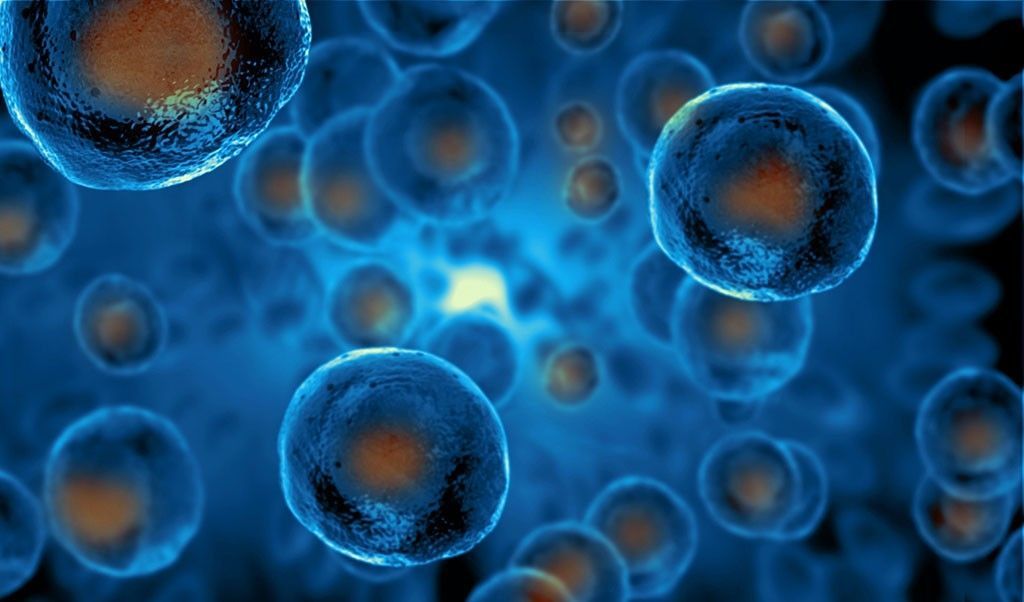 دراسة مبشرة.. اكتشاف خلايا في جسم الإنسان تتصدى لسلالات كورونا المتحورة